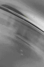 Load image into Gallery viewer, Julia Adams’ Signature Look

